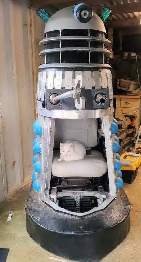 Cat Dalek.jpg