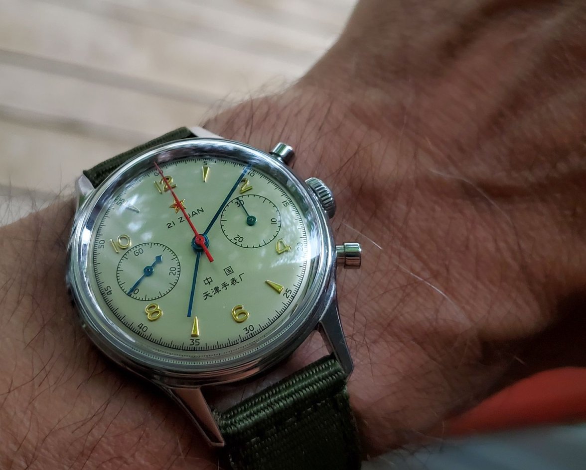 Seagull ws 1 20230702_070941.jpg