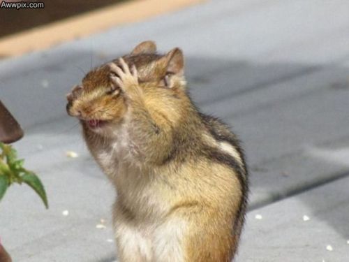 NotAgain!.jpg NotAgain!.jpg