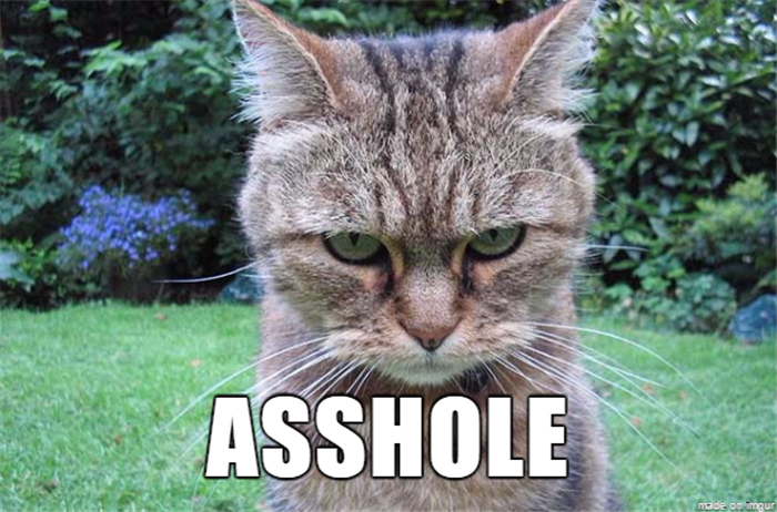 what-animal-names-should-be-called-10.png what-animal-names-should-be-called-10.png