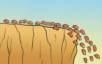 lemmings-350x220.jpg lemmings-350x220.jpg