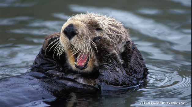 Screen Shot 2015-10-13 at 08.52.21.png Screen Shot 2015-10-13 at 08.52.21.png