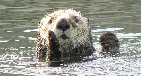 Screen Shot 2015-10-13 at 08.52.39.png Screen Shot 2015-10-13 at 08.52.39.png