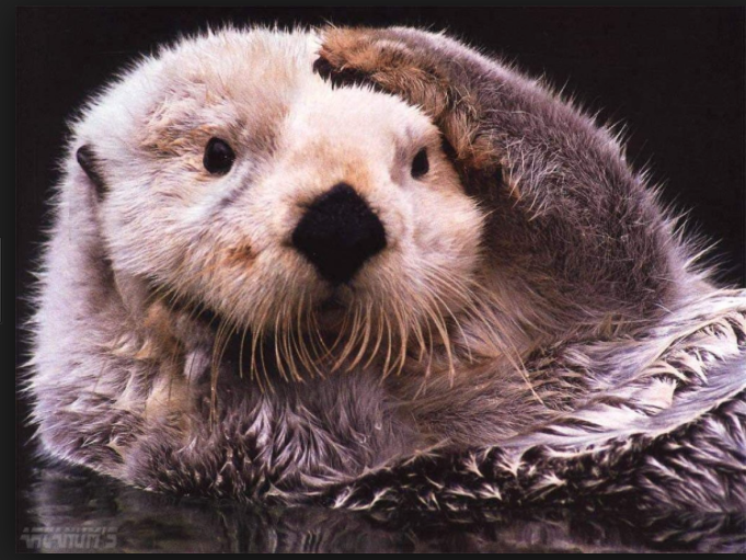 Screen Shot 2015-10-13 at 08.53.12.png Screen Shot 2015-10-13 at 08.53.12.png