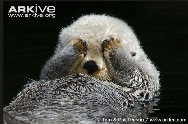 Screen Shot 2015-10-13 at 08.54.10.png Screen Shot 2015-10-13 at 08.54.10.png