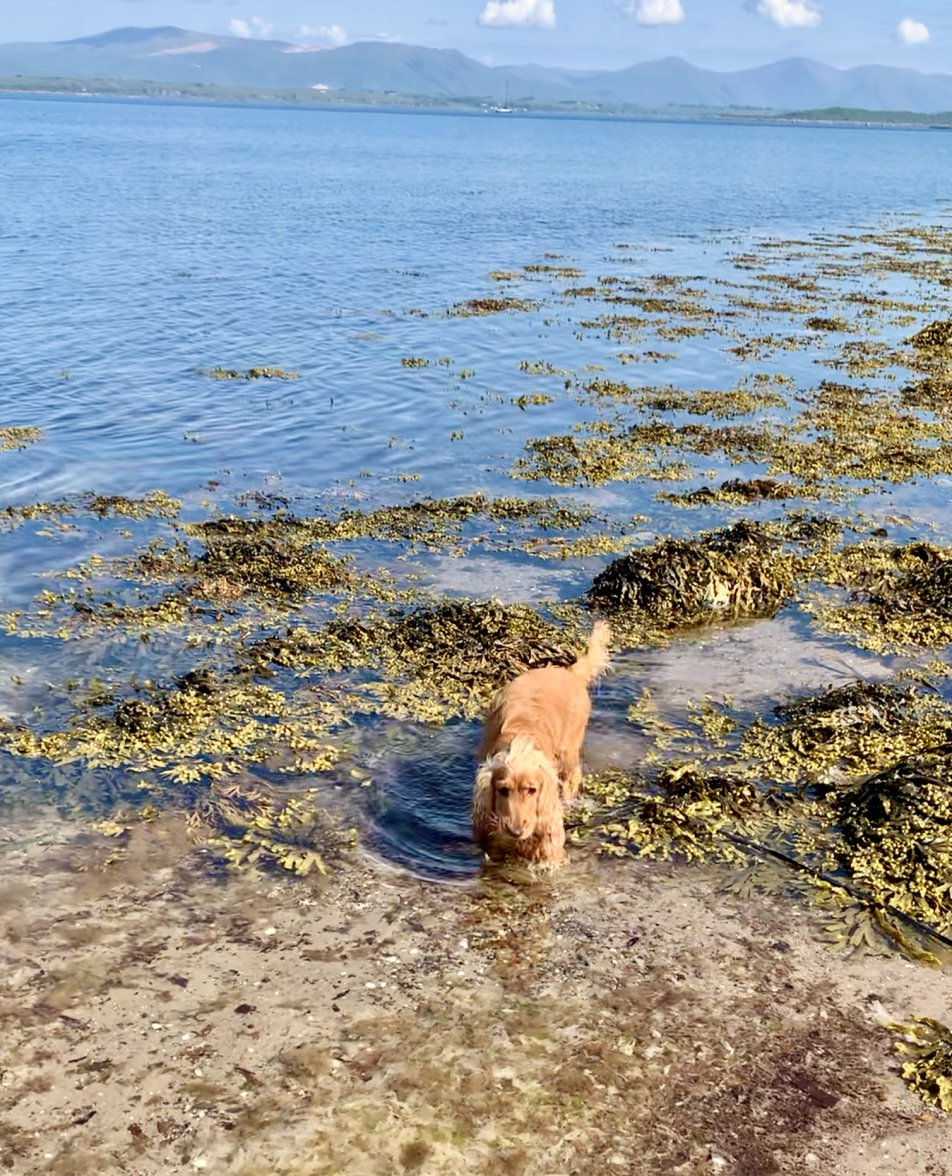 Screenshot 2023-07-11 at 10.38.52.jpeg