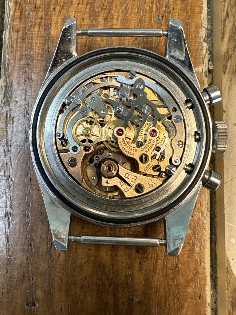 Speedy2998-71523-55 (Medium).JPG