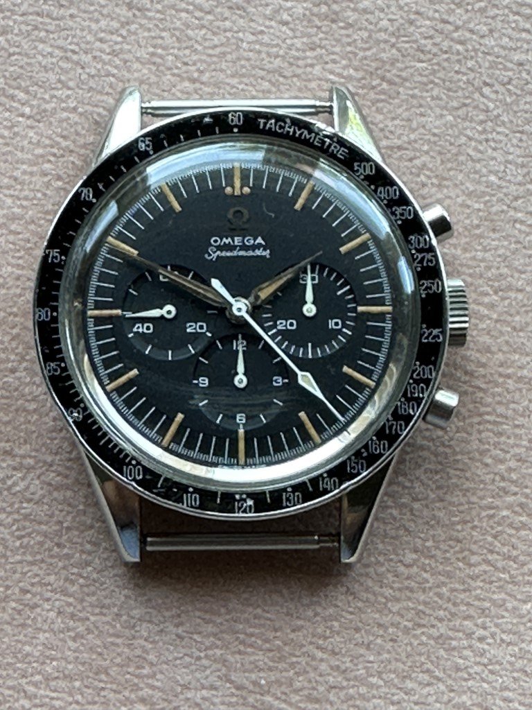 Speedy2998-71523-71 (Medium).JPG