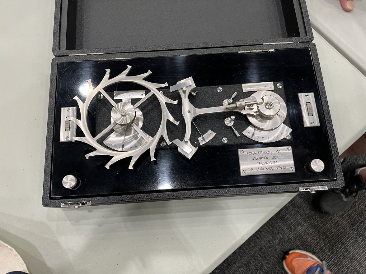 IMG_8318.jpeg IMG_8318.jpeg