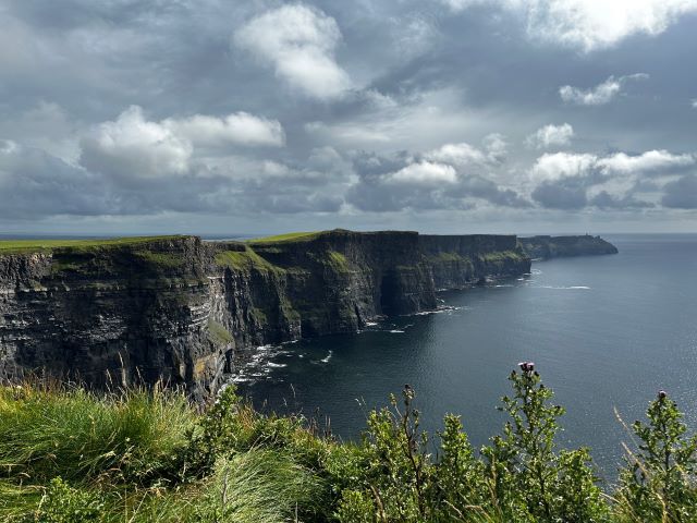 IMG_0786.jpg IMG_0786.jpg