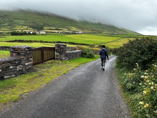 IMG_0819.jpg IMG_0819.jpg