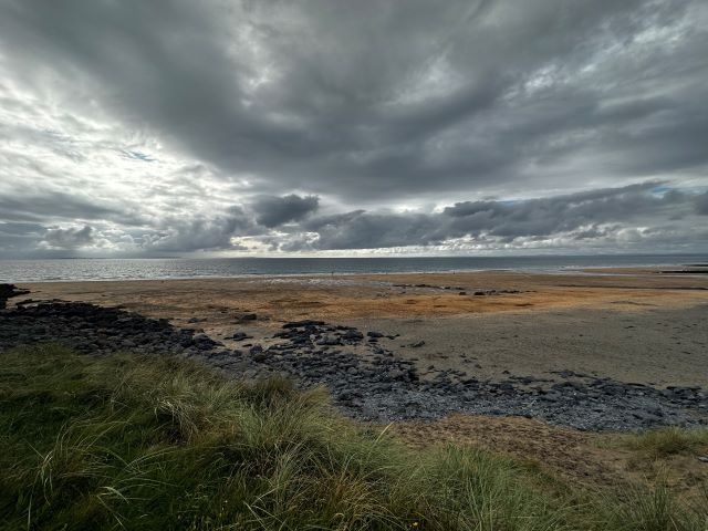 IMG_0793.jpg IMG_0793.jpg