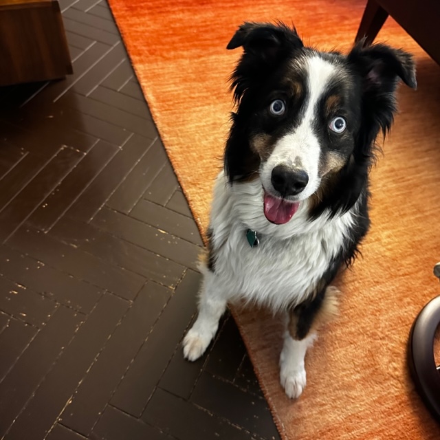 IMG_0843.jpg IMG_0843.jpg