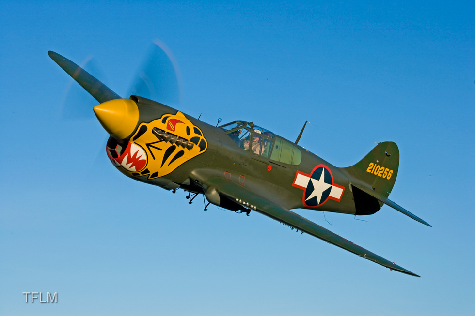 IMG_8382.jpeg IMG_8382.jpeg