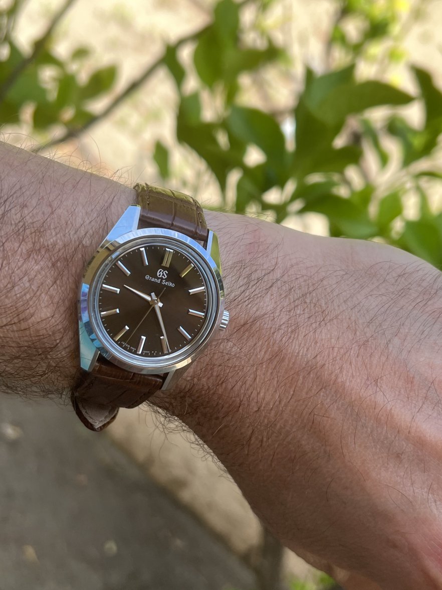 IMG_0365.jpeg IMG_0365.jpeg