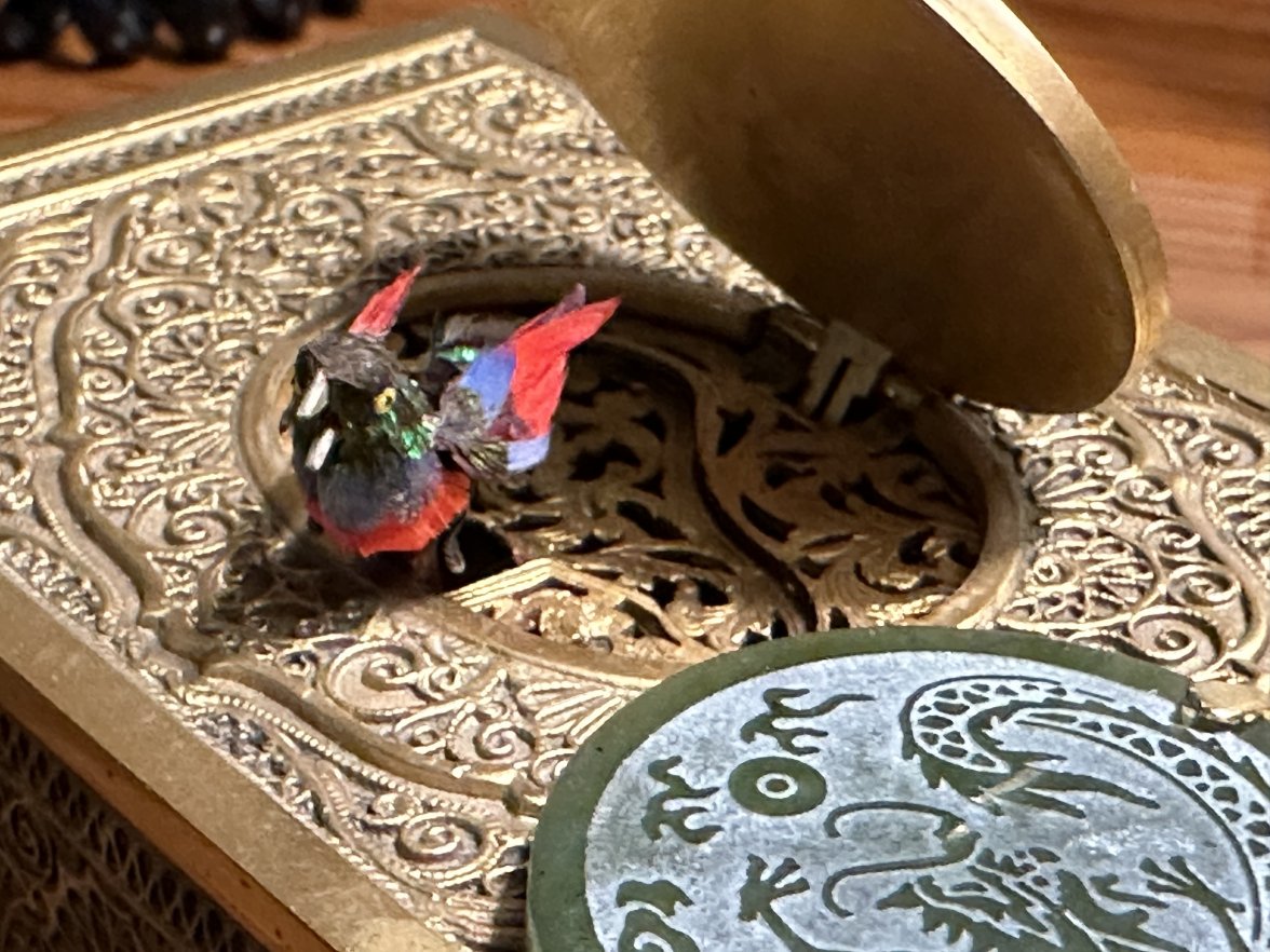 IMG_5257.jpeg IMG_5257.jpeg