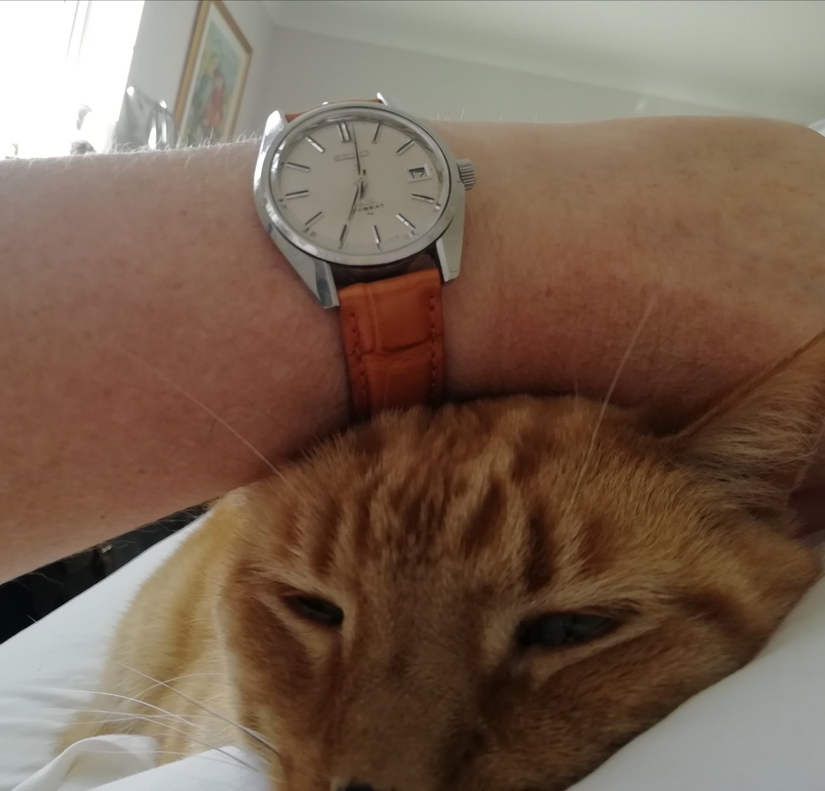 IMG_20230717_070322.jpg IMG_20230717_070322.jpg