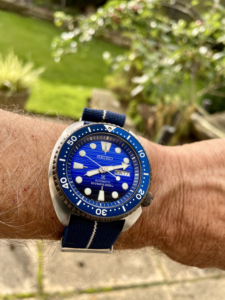 IMG_3705.jpeg IMG_3705.jpeg