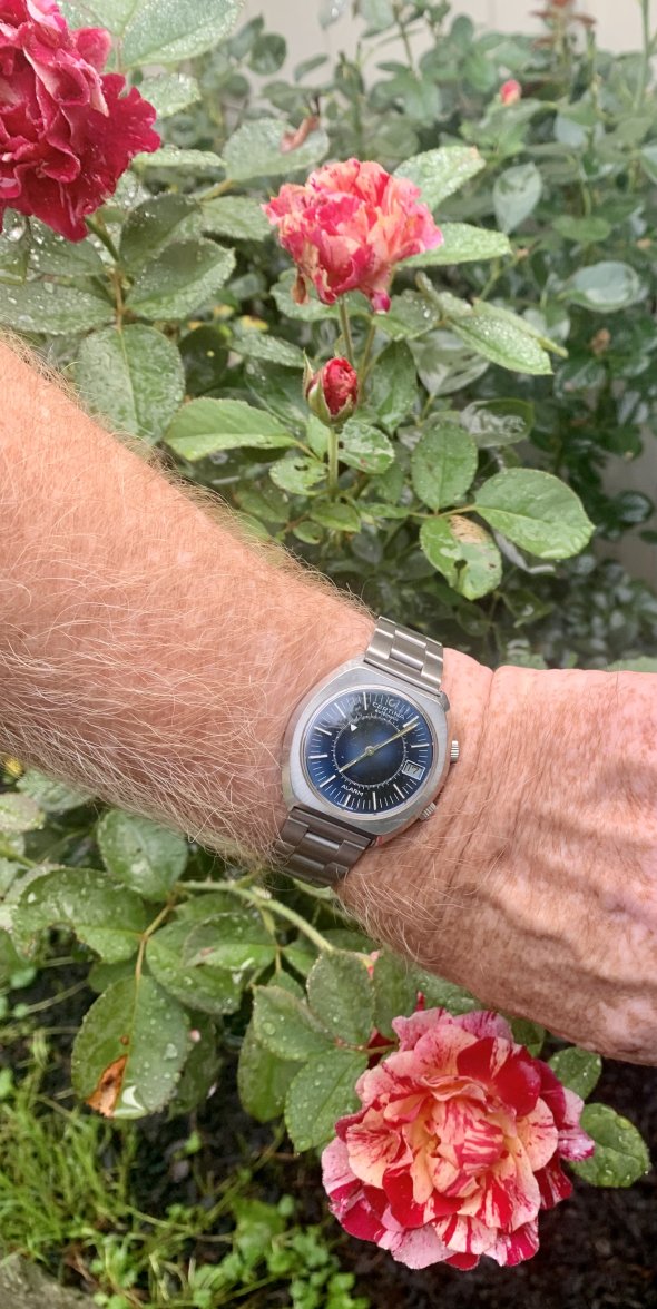 IMG_1514.jpeg IMG_1514.jpeg