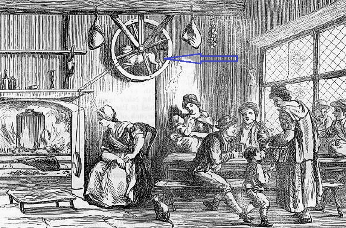 turnspit dog.jpg