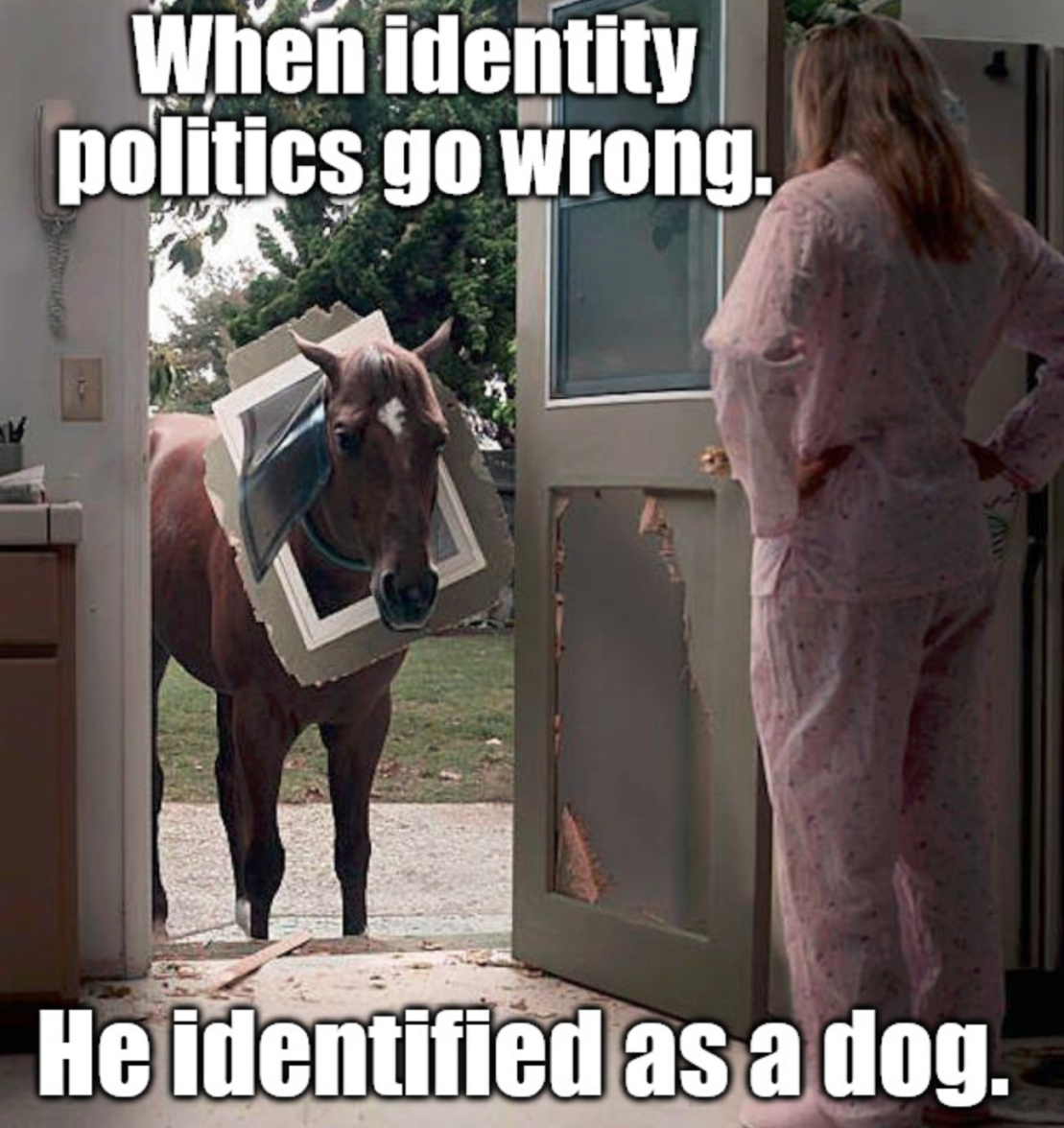 Screenshot 2023-07-29 at 7.54.32 pm.png