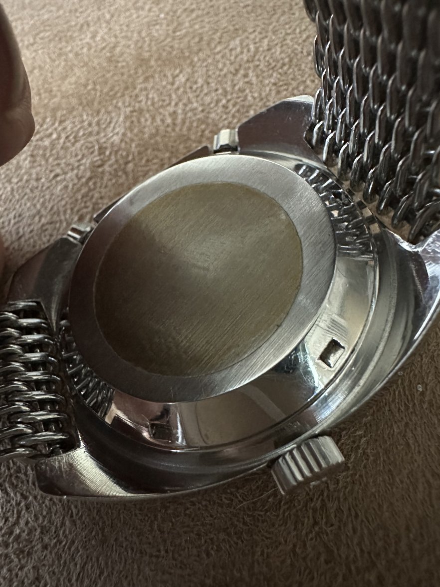 IMG_5444.jpeg IMG_5444.jpeg