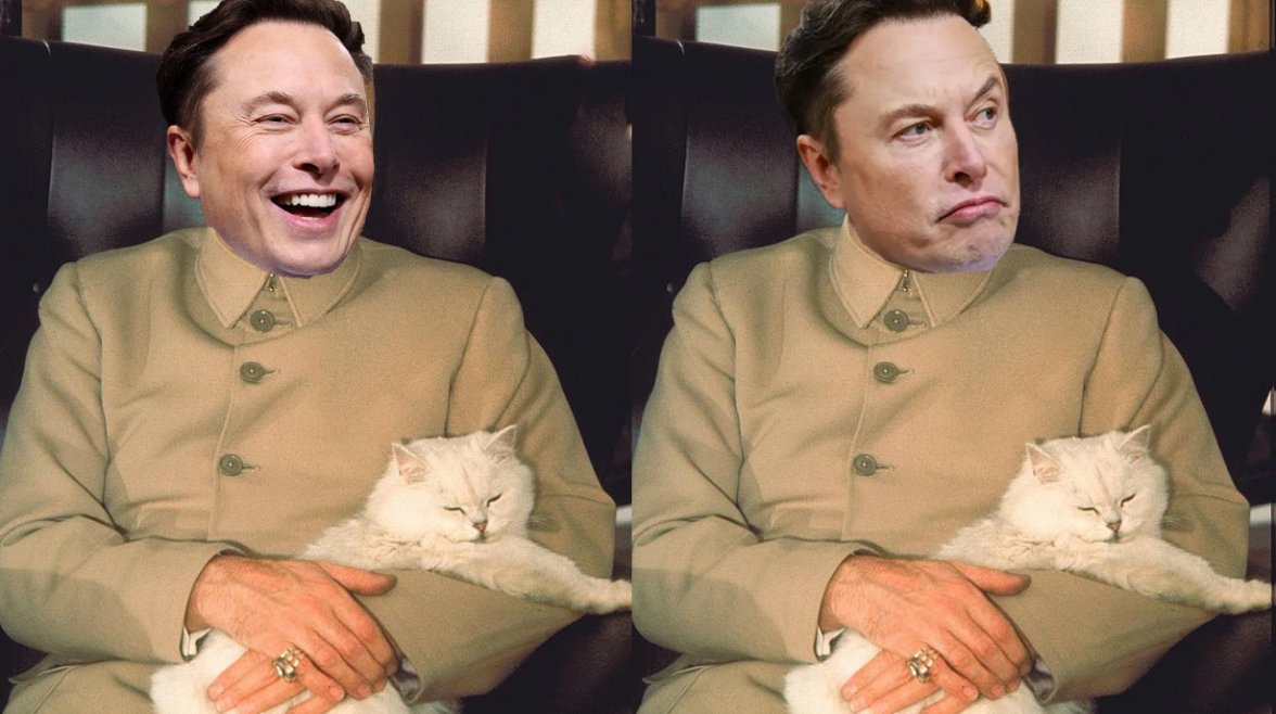 Musk-header-3.jpg