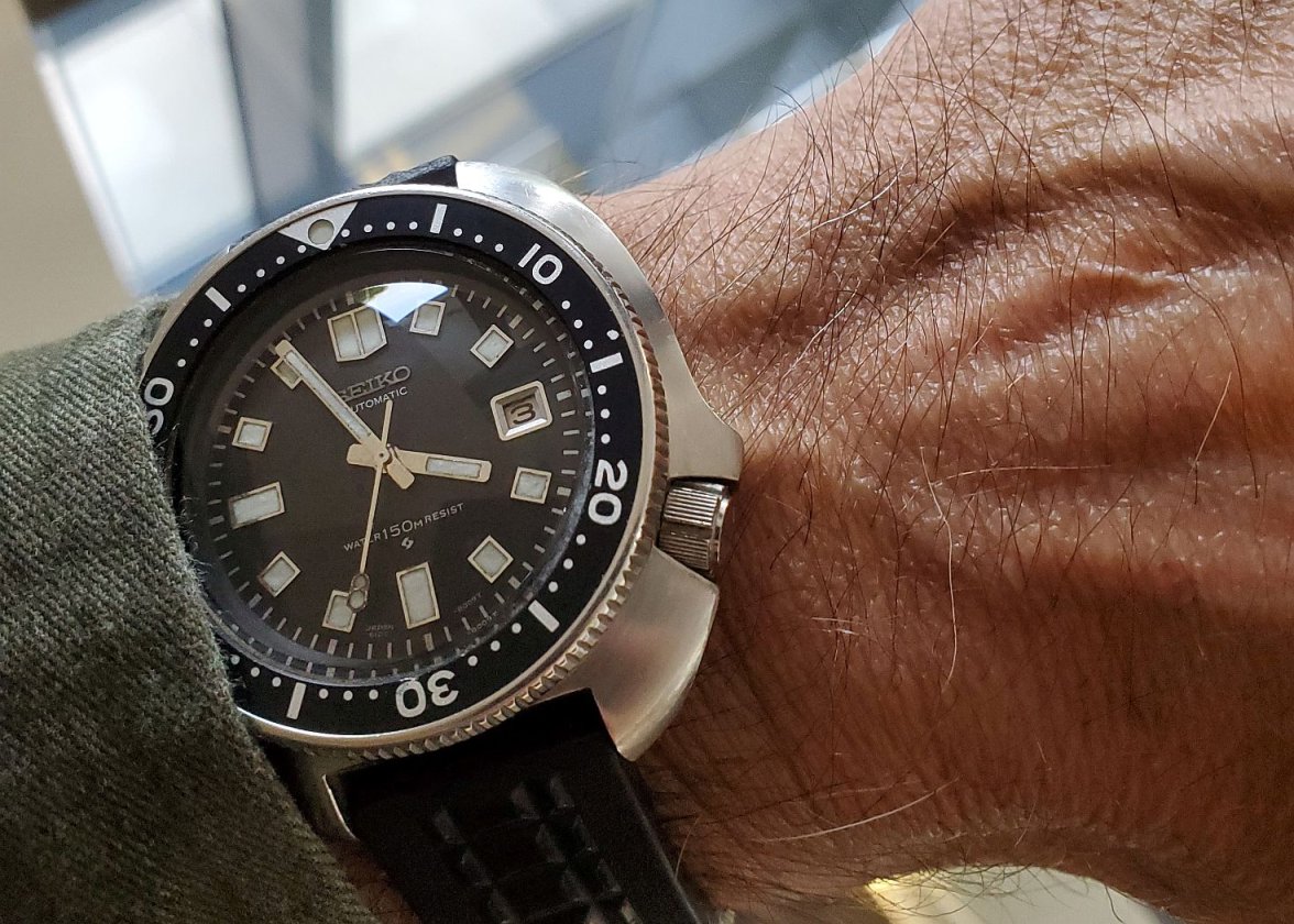 Willard ws 1 20230803_155528.jpg