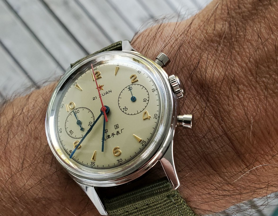 Seagull ws 1 20230804_063856.jpg