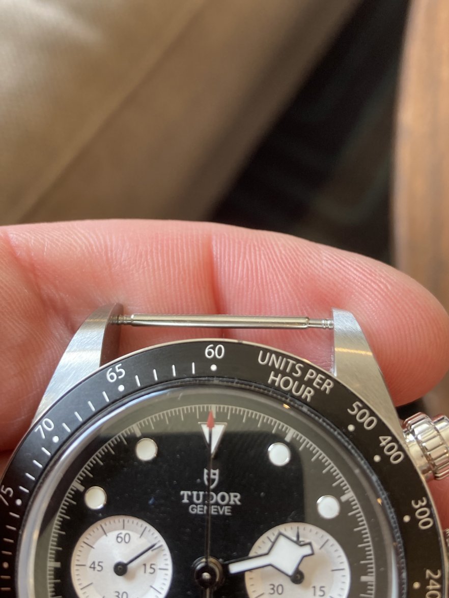 IMG_2179.jpeg IMG_2179.jpeg