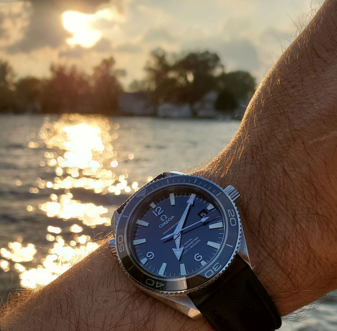 POLM ws 1b 20230805_191016.jpg