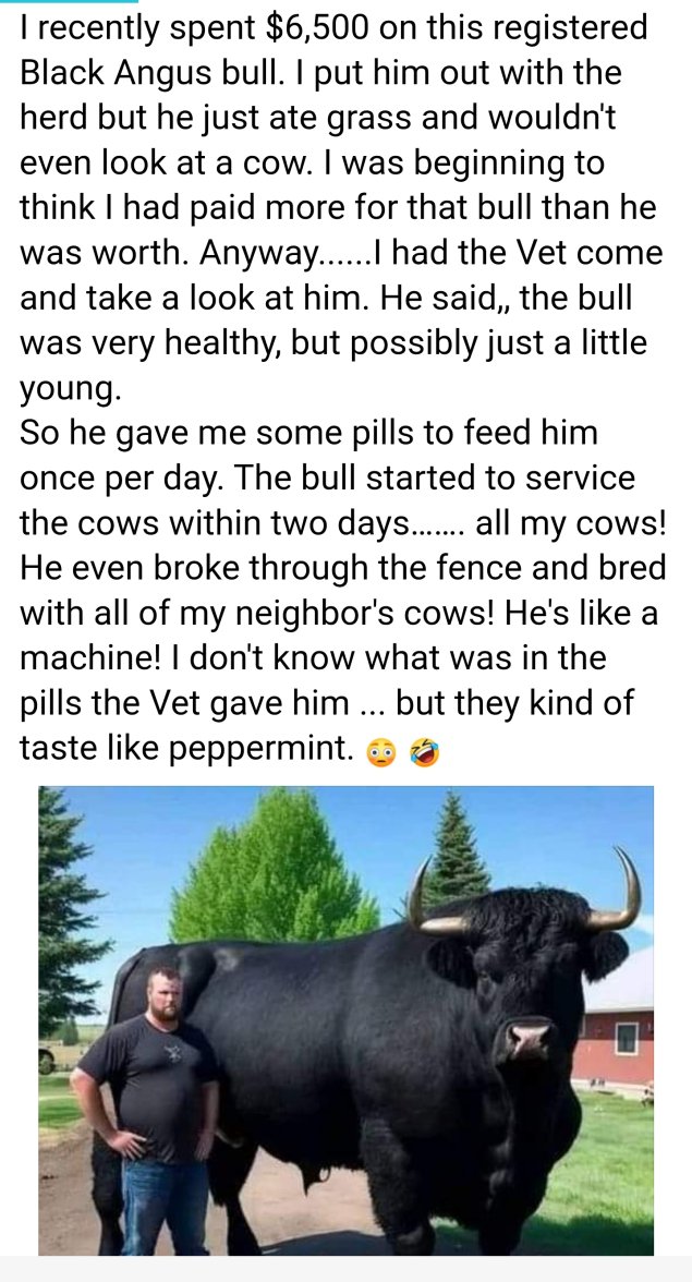 Screenshot_20230810_184010_Metal Pro.jpg