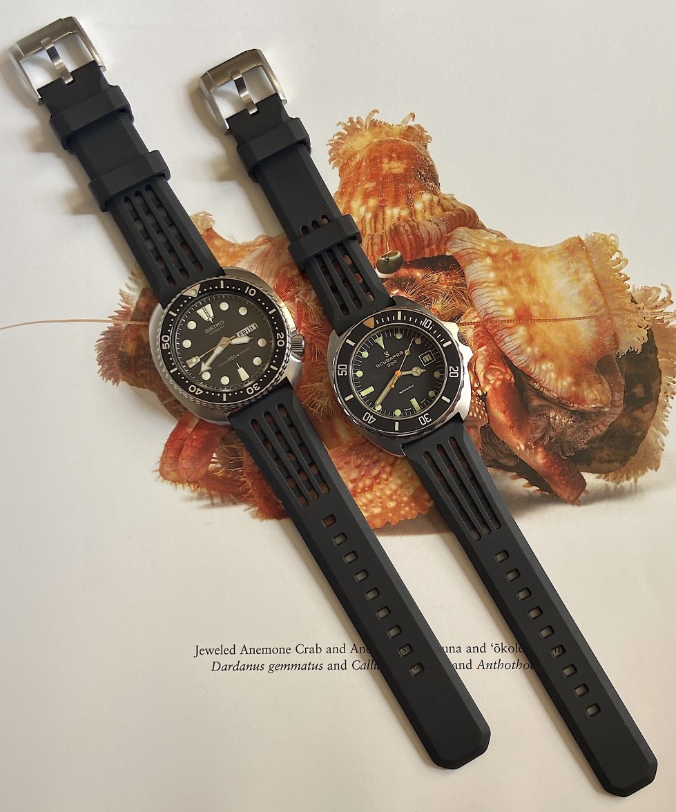 IMG_6592 8.24.45 PM.jpeg