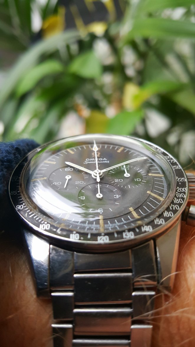 2015-10-20 10.10.48.jpg