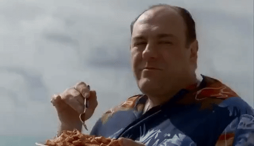 YoungMedicalItaliangreyhound-size_restricted copy.gif