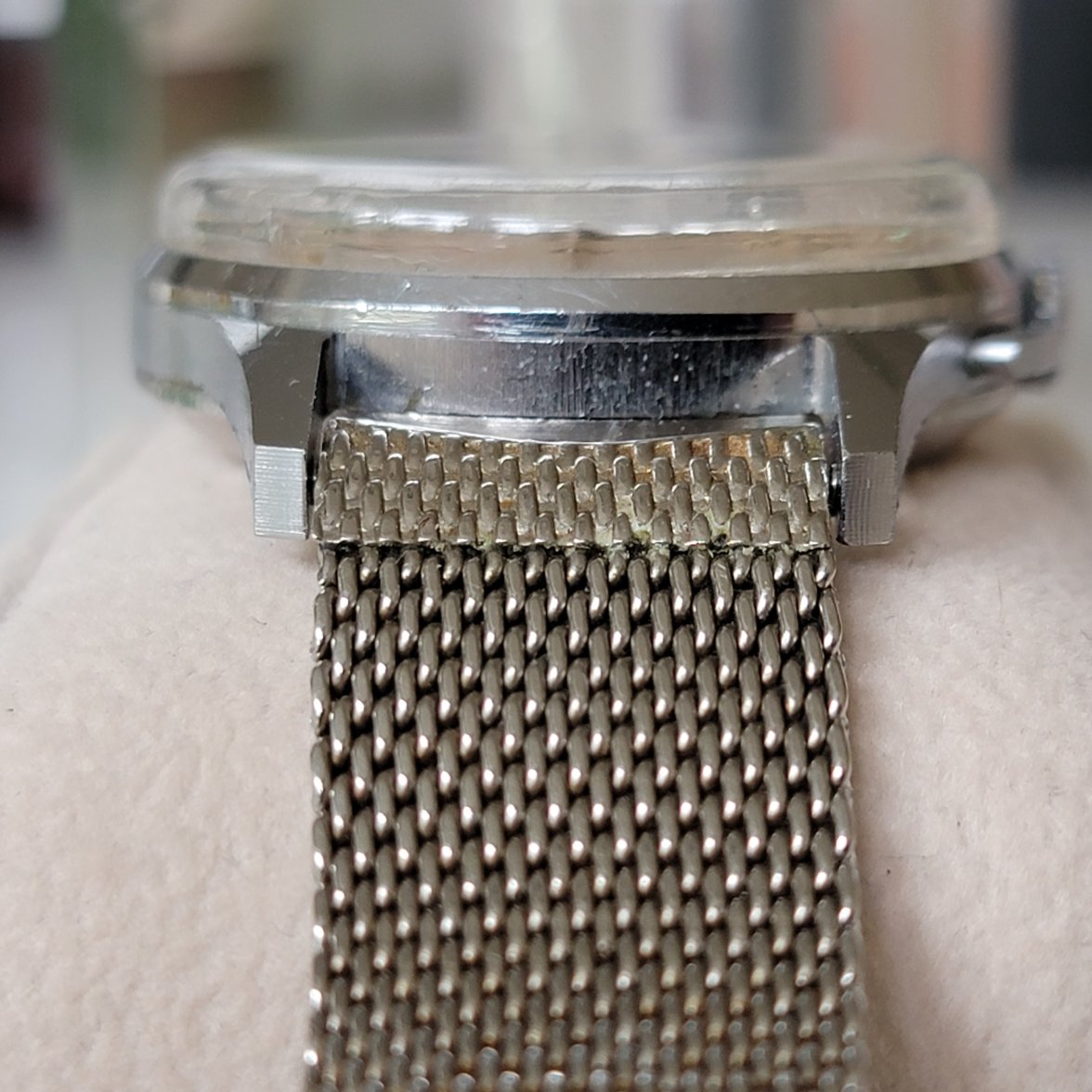 20230817_105935.jpg 20230817_105935.jpg