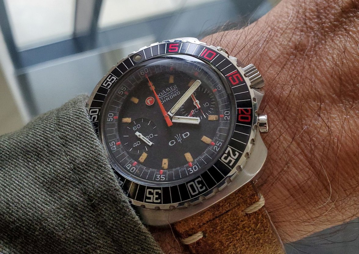 Roamer ws 1 20230817_161128.jpg