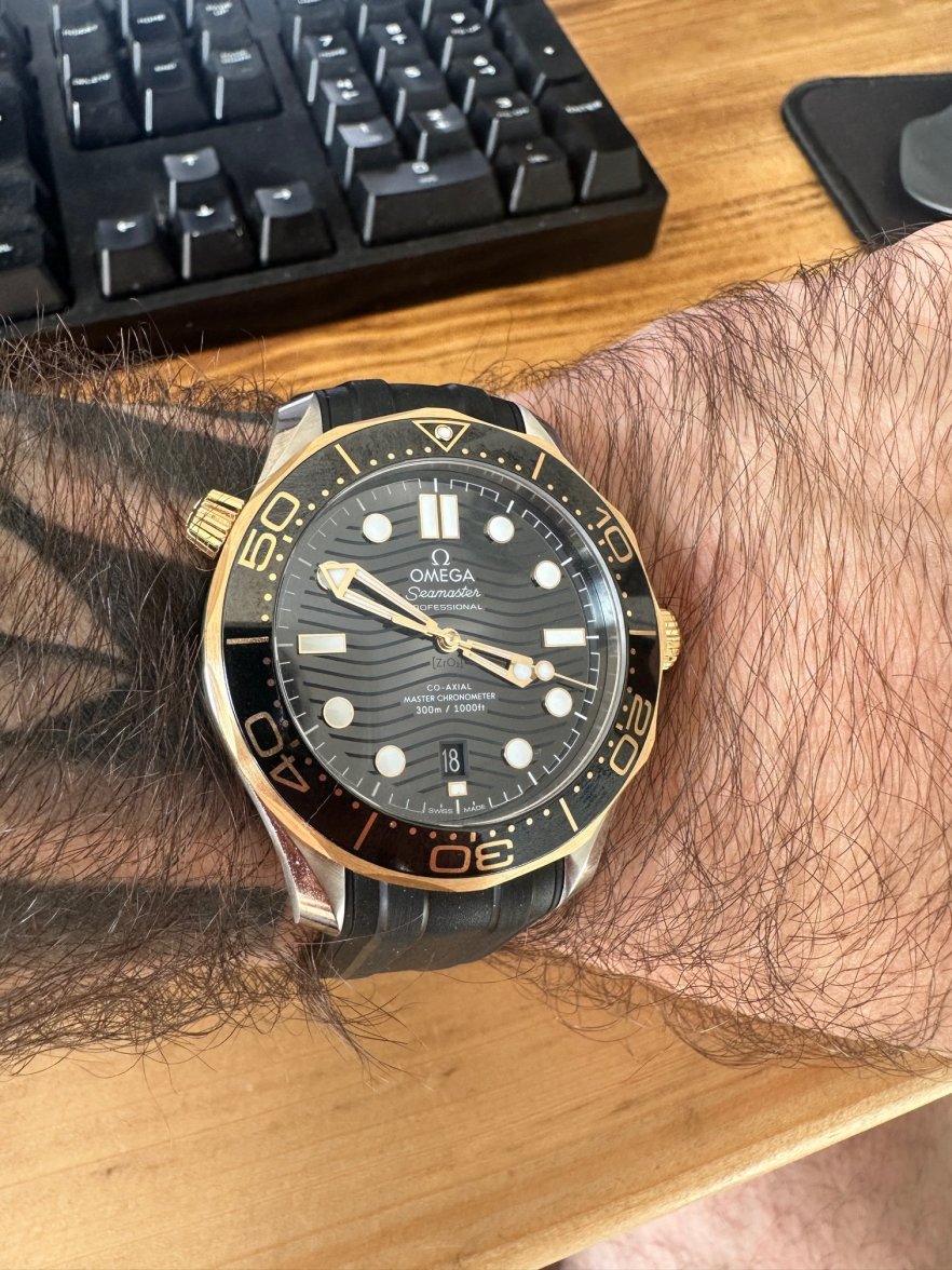 Seamaster300M_gold.JPG