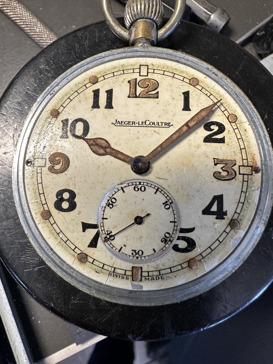 IMG_5535.jpeg IMG_5535.jpeg