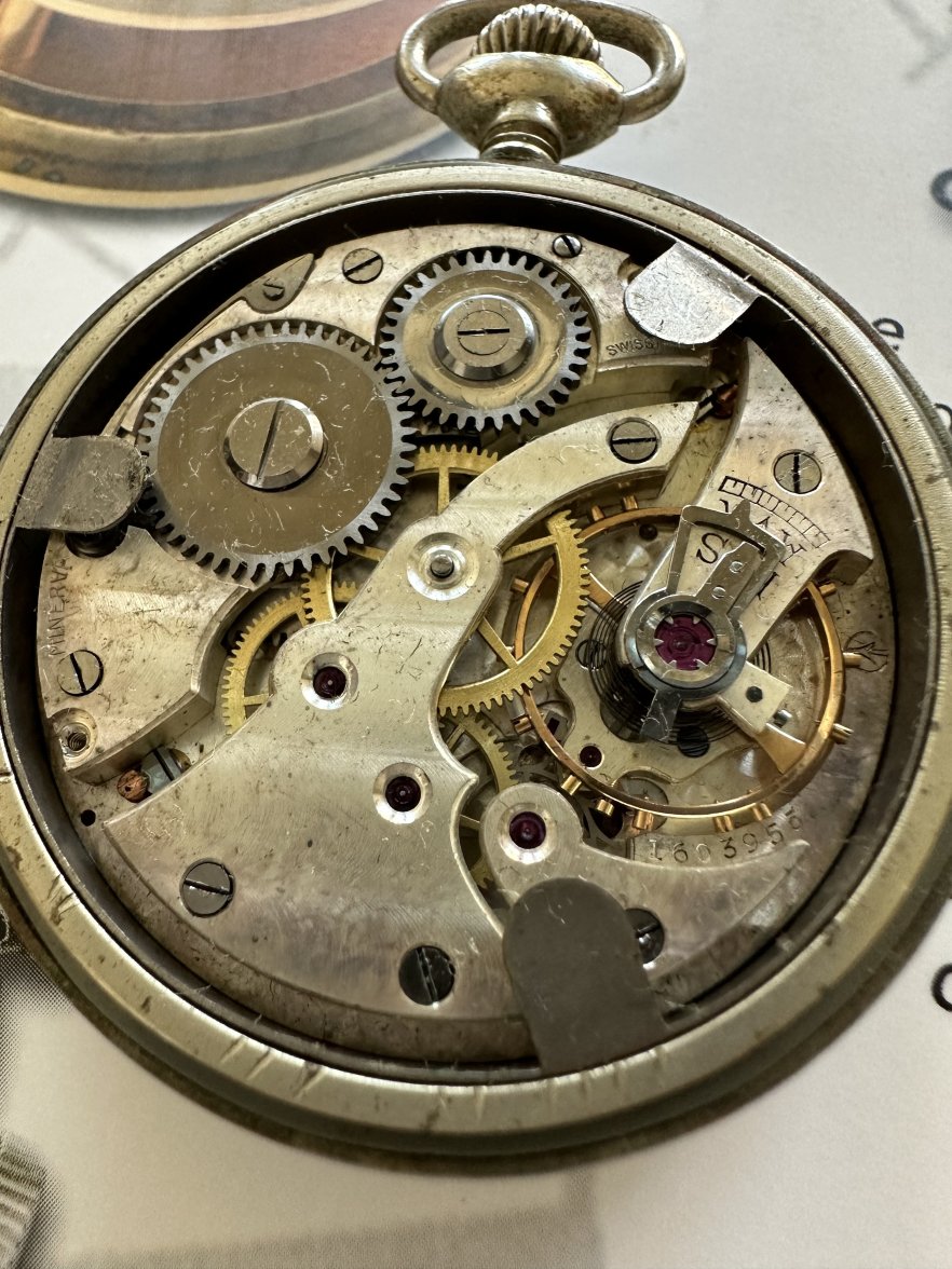 IMG_5560.jpeg IMG_5560.jpeg