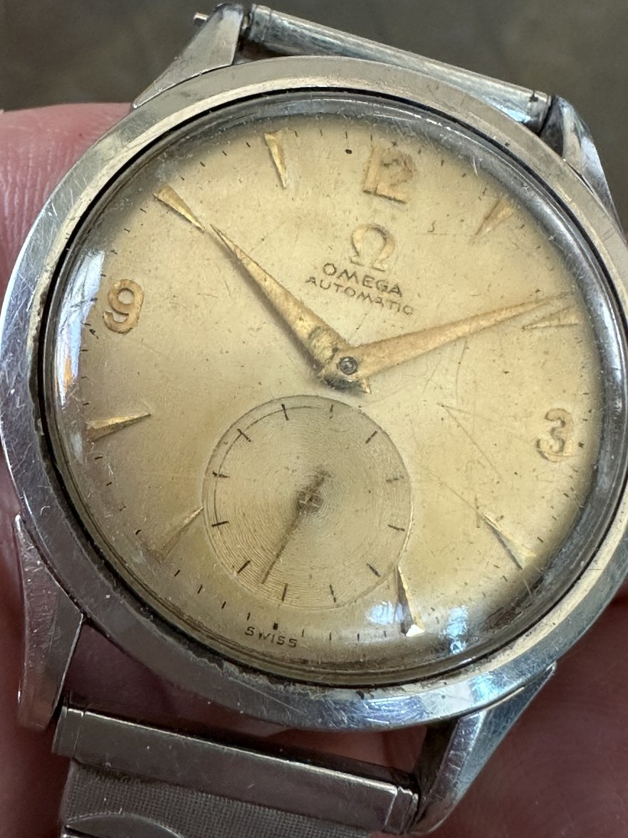 IMG_5564.jpeg IMG_5564.jpeg