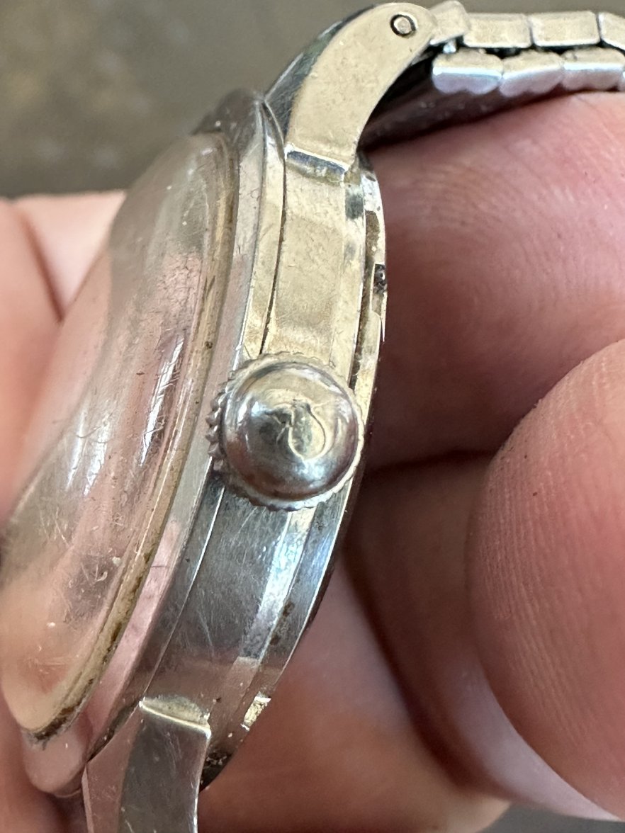 IMG_5565.jpeg IMG_5565.jpeg