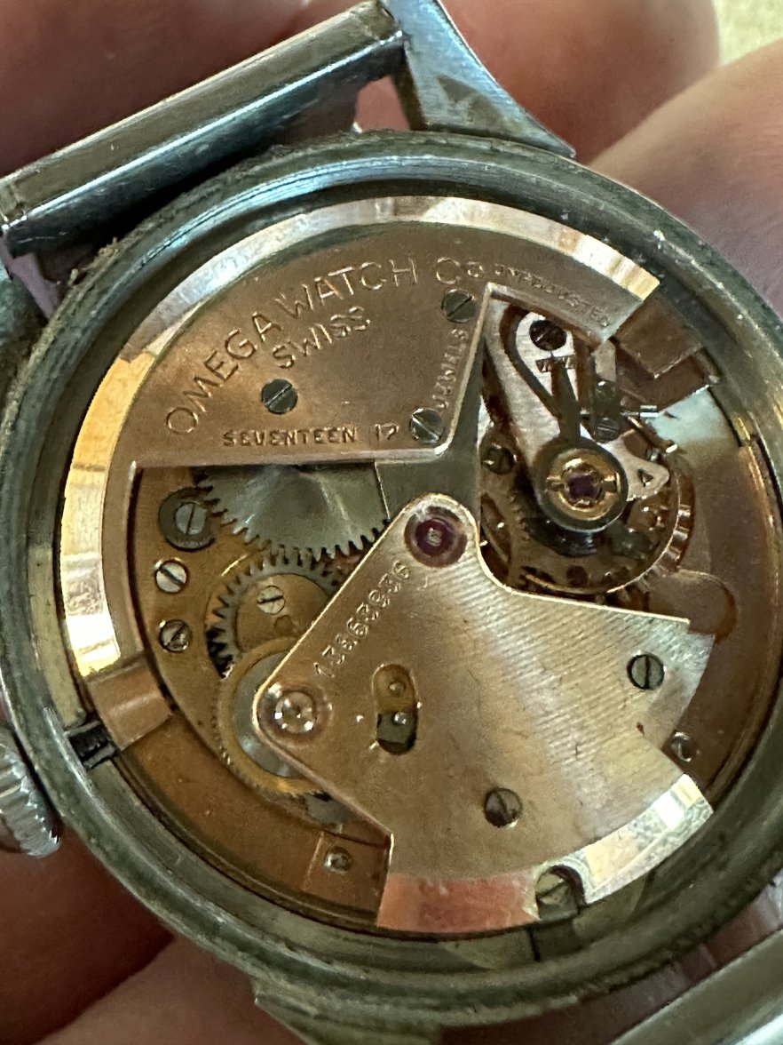 IMG_5568.jpeg IMG_5568.jpeg