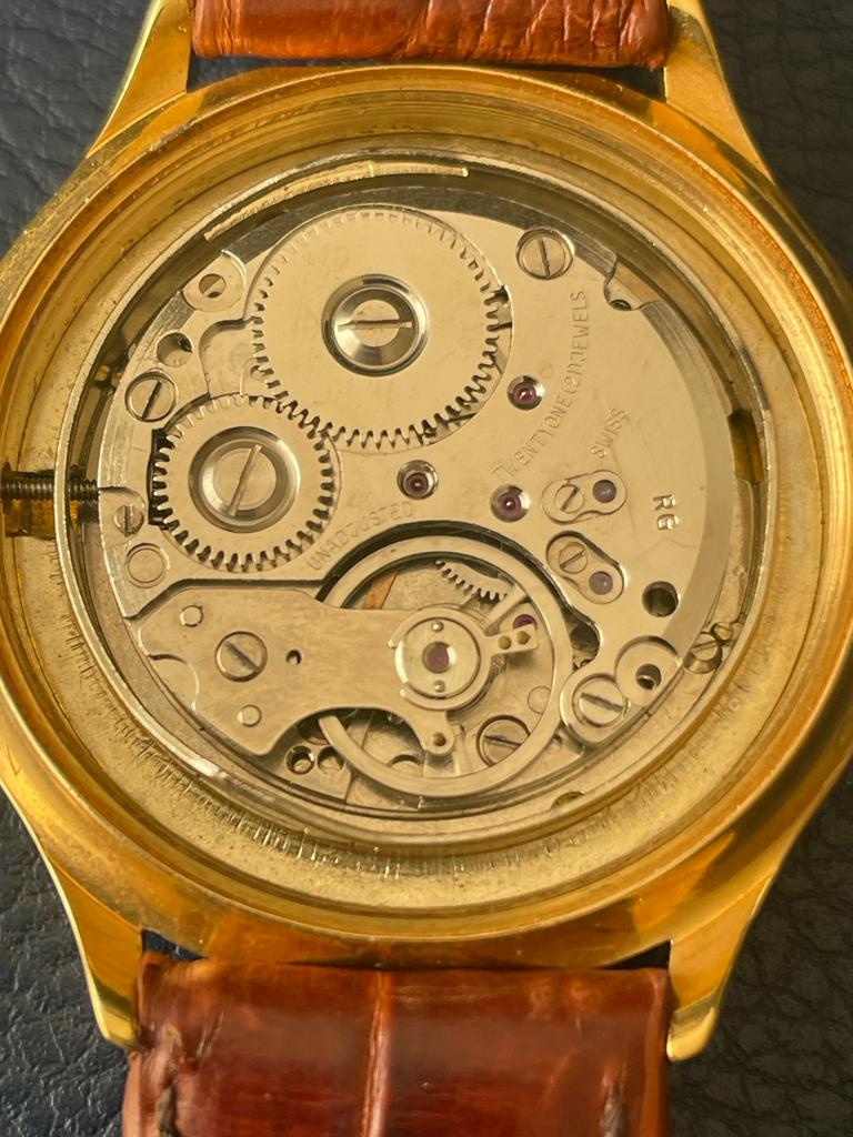 WhatsApp Image 2023-08-23 at 3.31.27 PM.jpeg