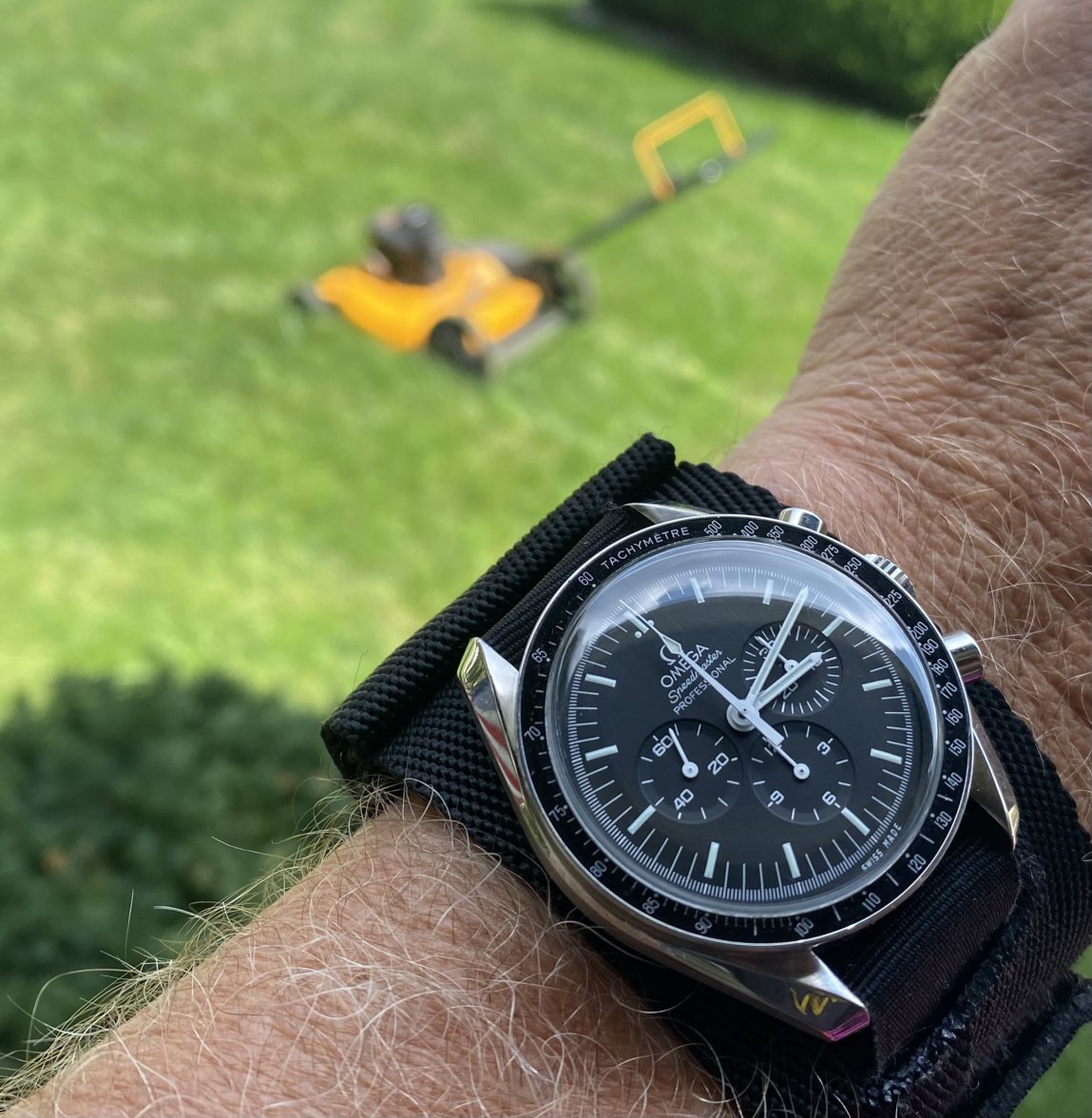 IMG_1076.jpeg IMG_1076.jpeg