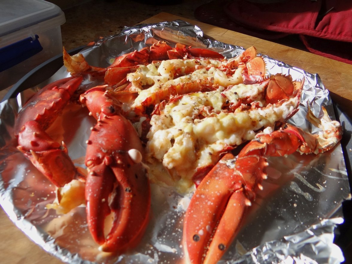 LOBSTERS 7 250823.jpg