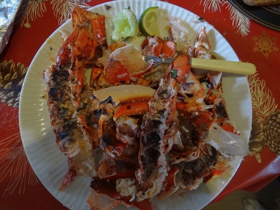 LOBSTERS 10 250823.jpg