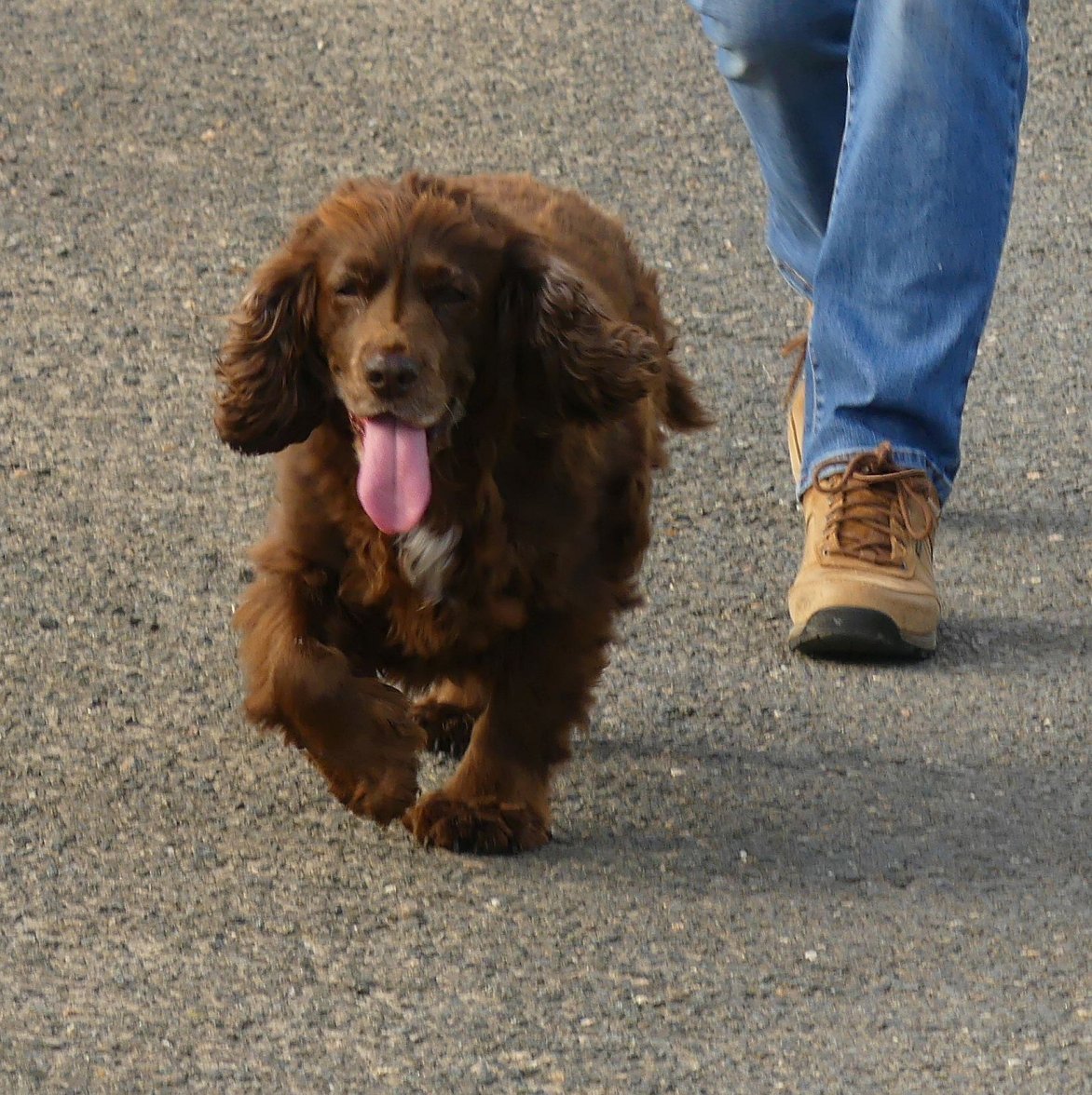 ISA and MUNCH 2 310823.jpg