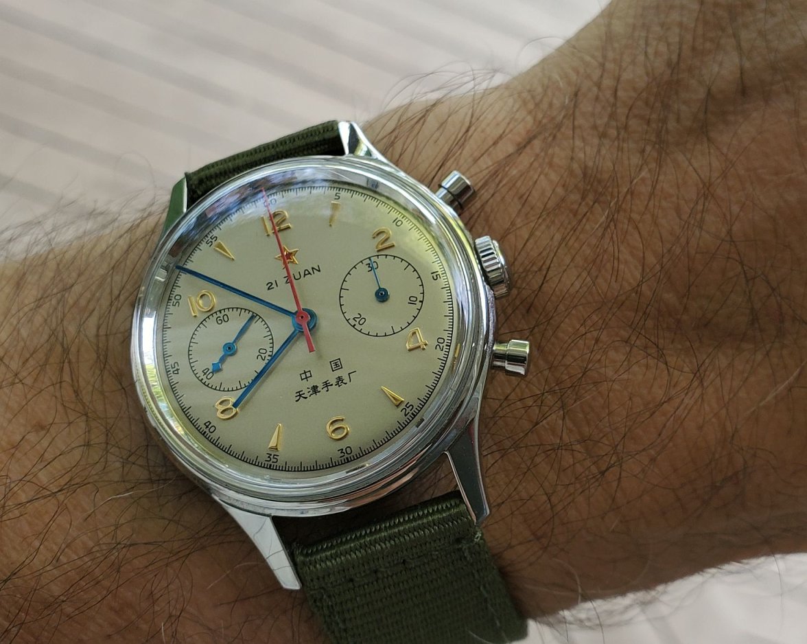 Seagull ws 1 20230903_075220.jpg