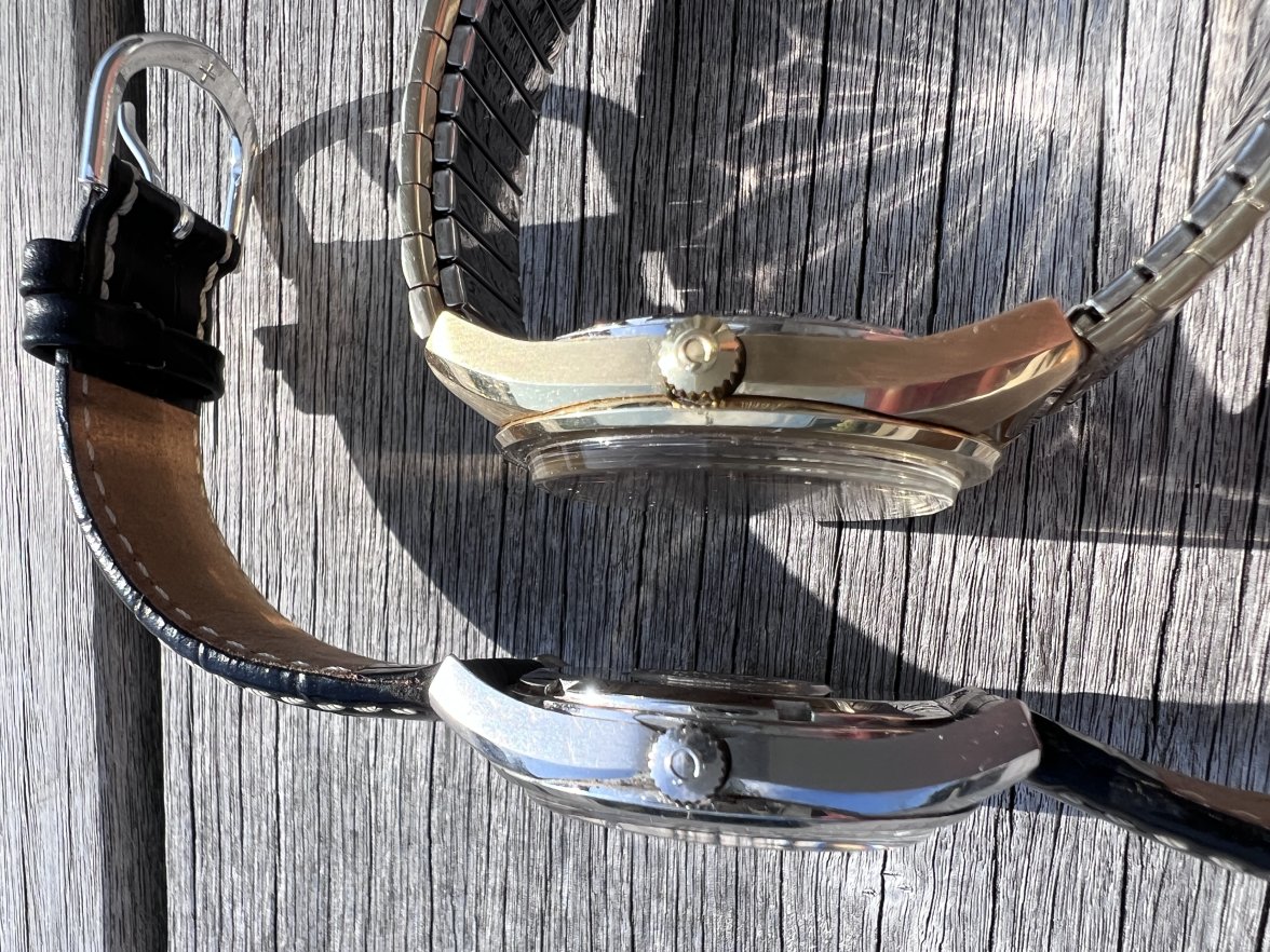 IMG_2517.jpeg IMG_2517.jpeg